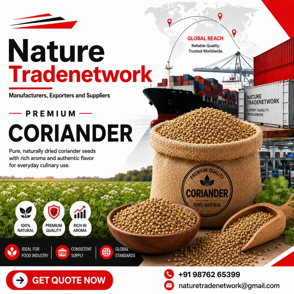 Coriander